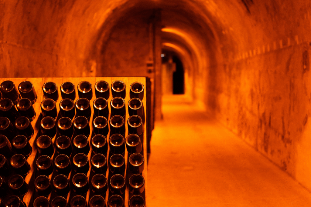 Référencement site internet Epernay